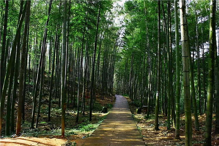 赤水市