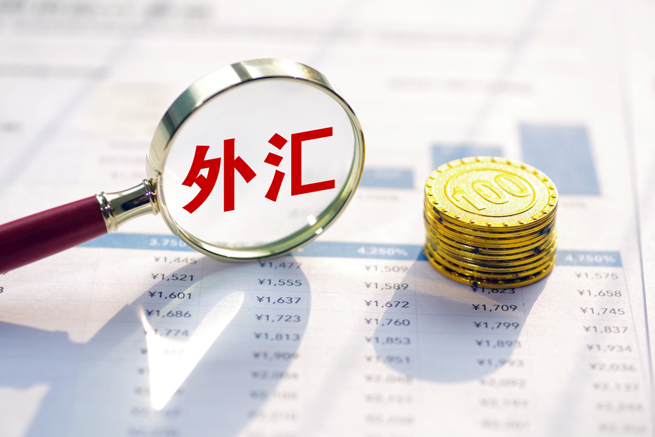 外汇储备