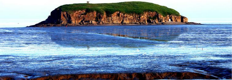 大连花园口经济区