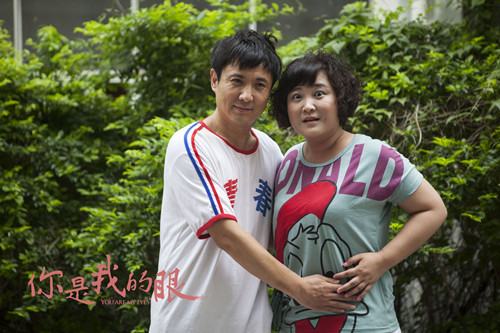 你是我的眼(2014年郑凯南执导电视剧)_百科资料_新农商网