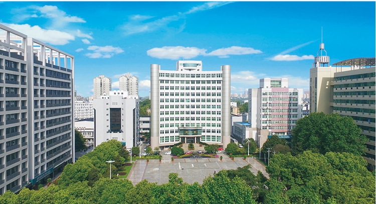 武汉电力职业技术学院