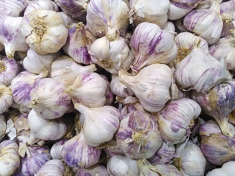 蒜茎.png
