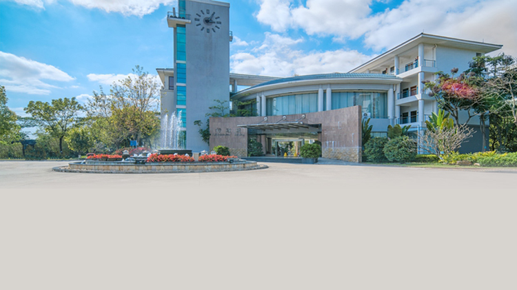 广东外语外贸大学南国商学院.jpeg
