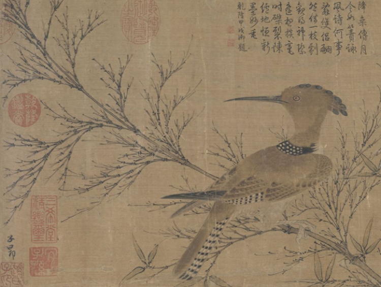 戴胜