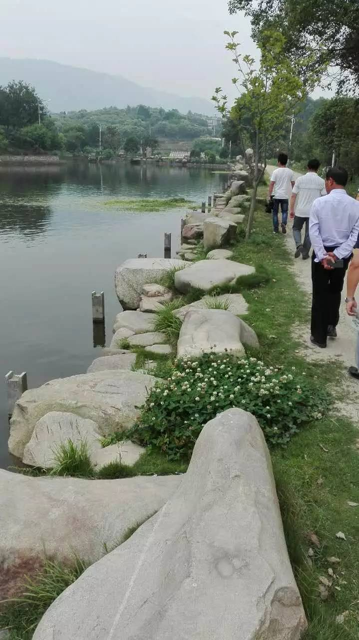 张家河村