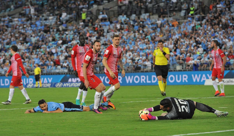 京都不死鸟足球俱乐部