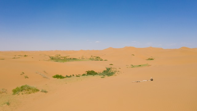 内蒙古阿拉善盟腾格里沙漠风光
