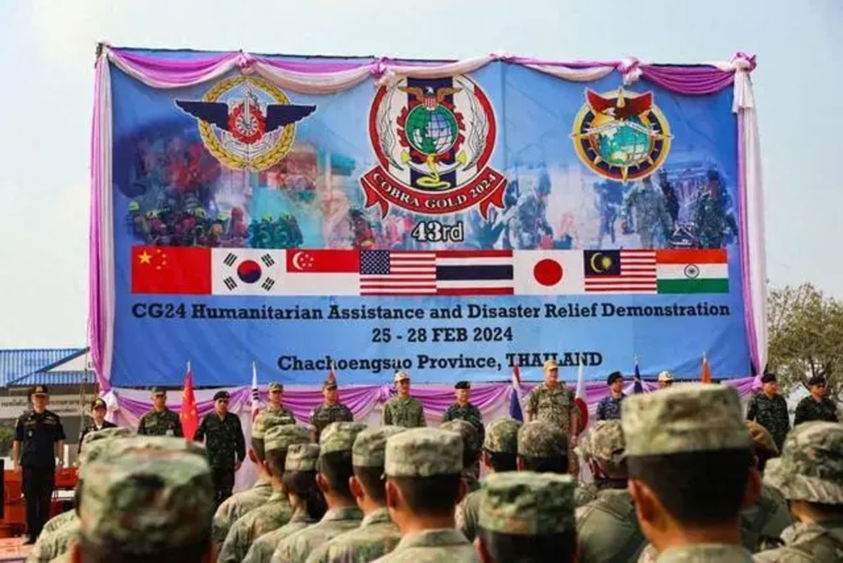 金色眼镜蛇-2024