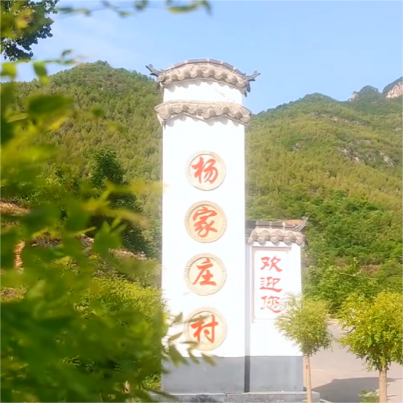 杨家庄村