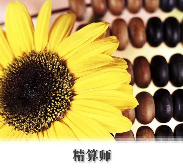 北美精算师资格考试