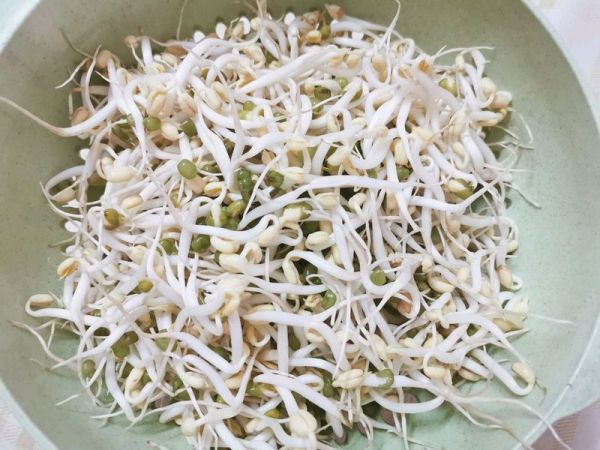发豆芽