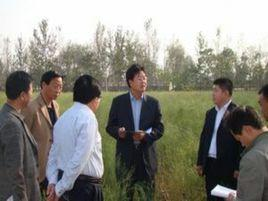 周庄村