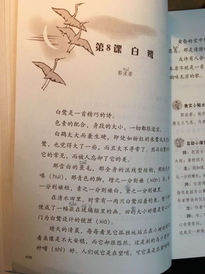 白鹭