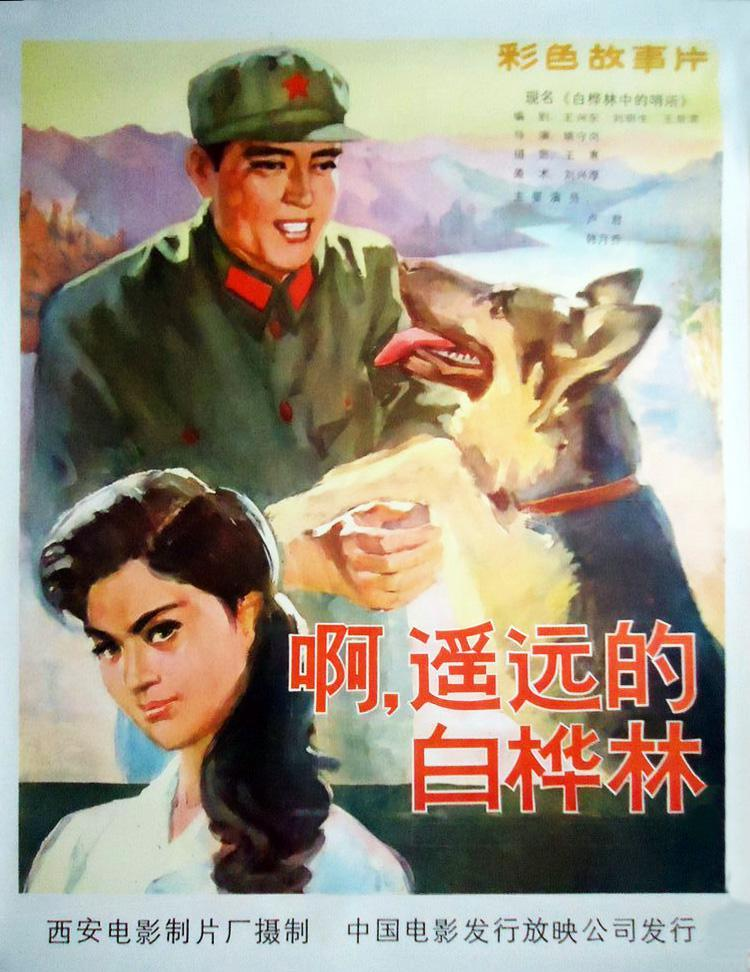 韩月乔