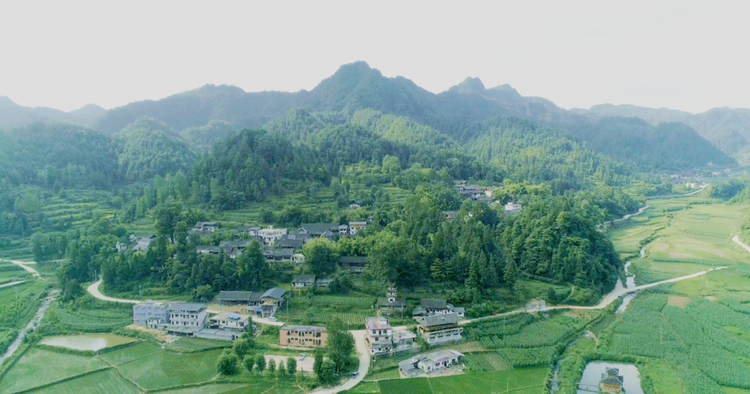 务川仡佬族苗族自治县