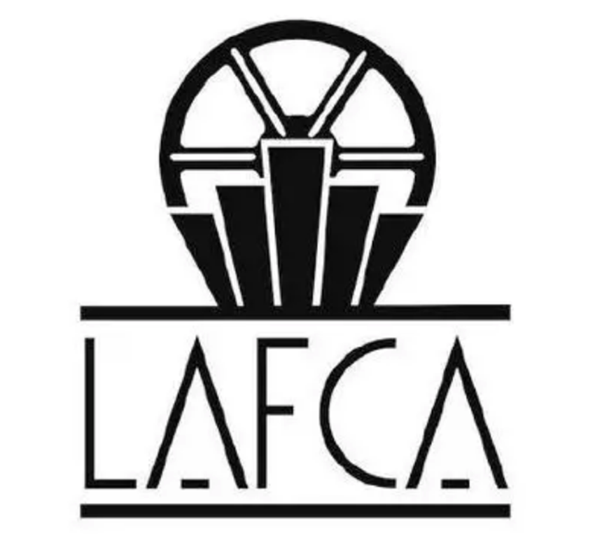 第49届洛杉矶影评人协会奖