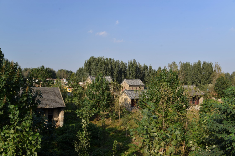 枣庄市