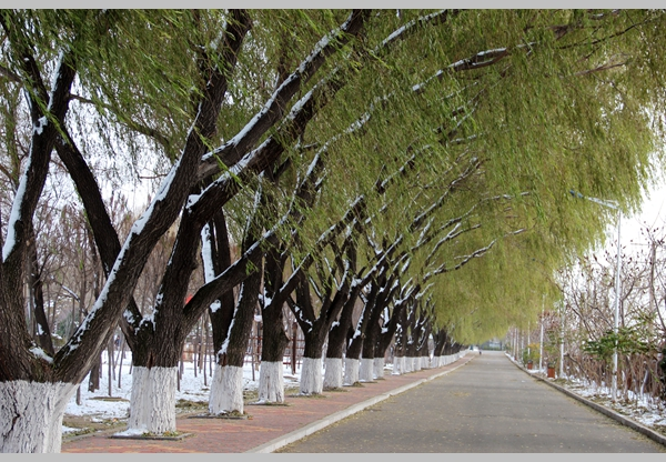 沈阳职业技术学院