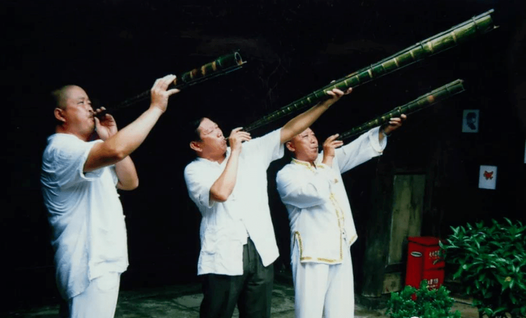 南溪区