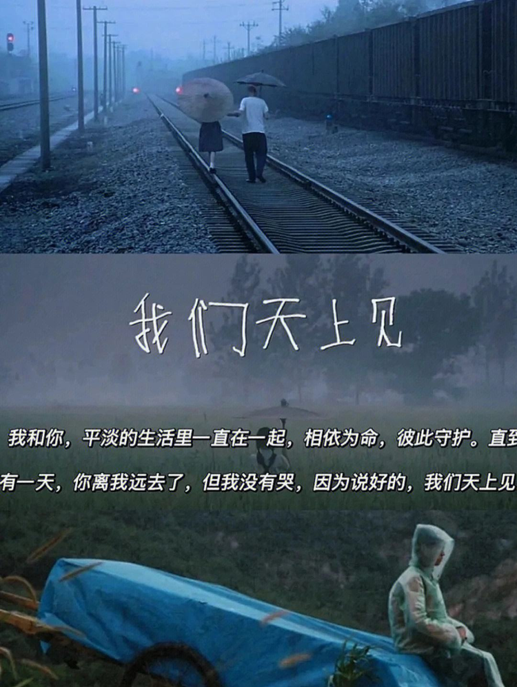 我们.jpeg