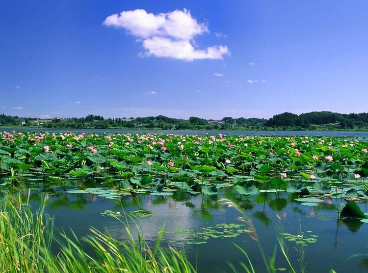 水泊梁山风景区