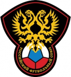俄罗斯国家男子足球队