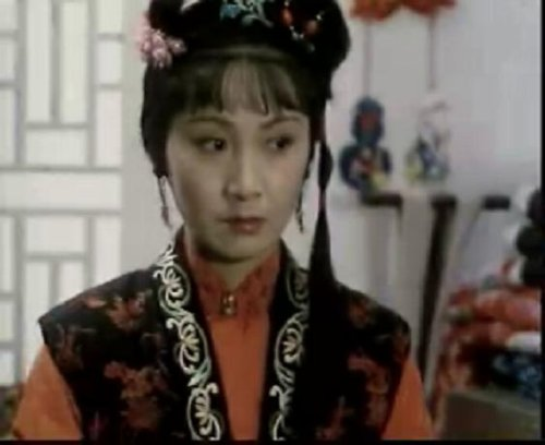 袭人