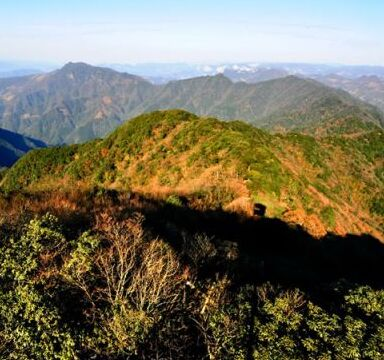 湖北木林子国家级自然保护区