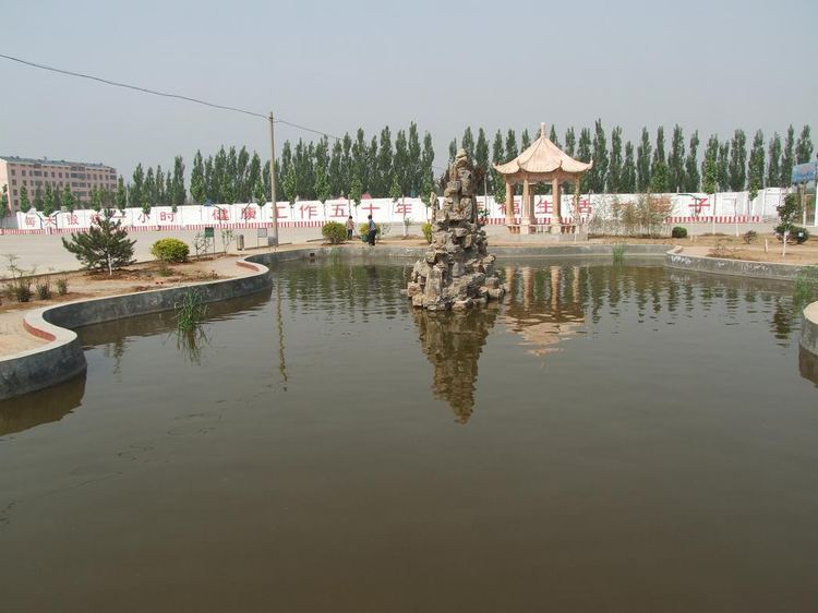 曲周县第一中学