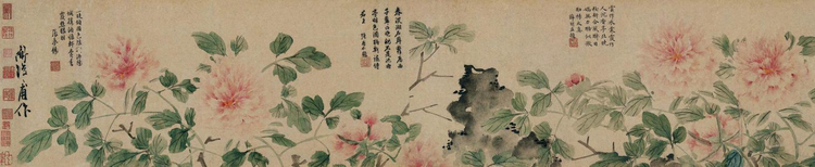 牡丹图