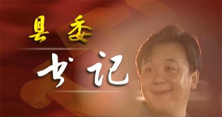 县委书记