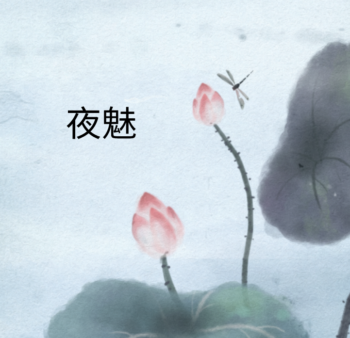 夜魅