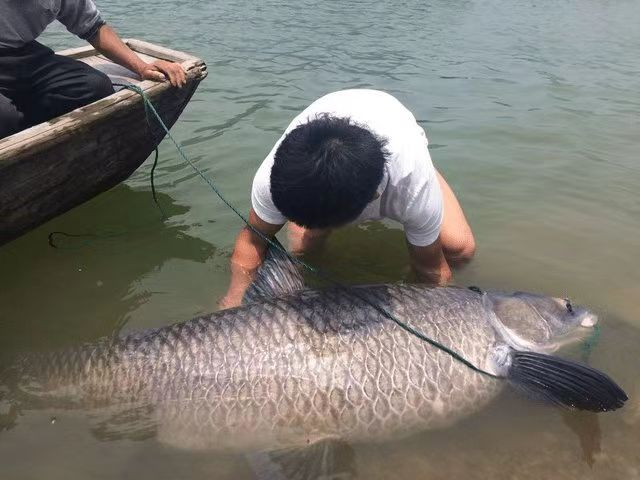 微信图片_20230917205319.jpeg