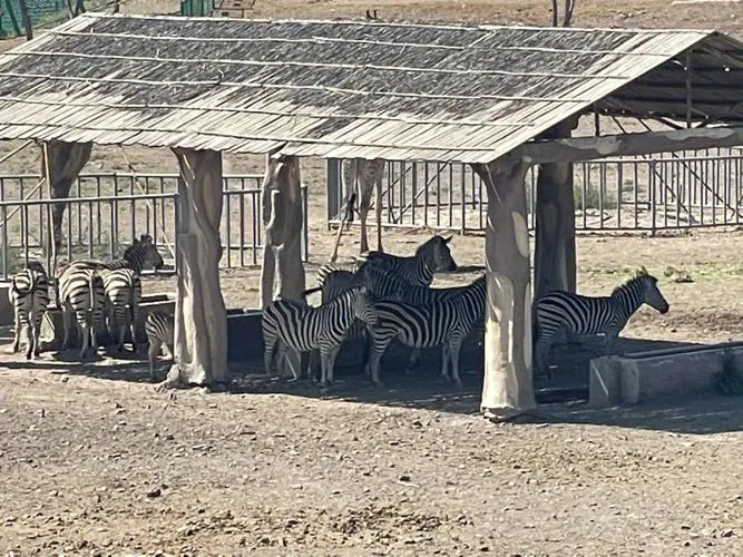 乌鲁木齐市