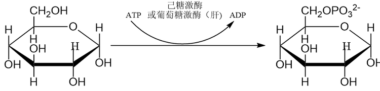 Snipaste_2023-06-06_15-18-46.png