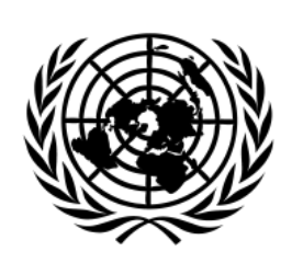 联合国儿童基金会