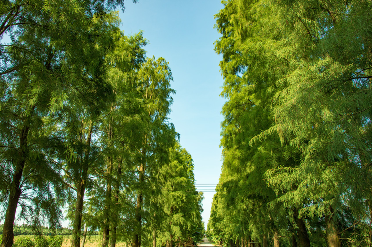 吉安市