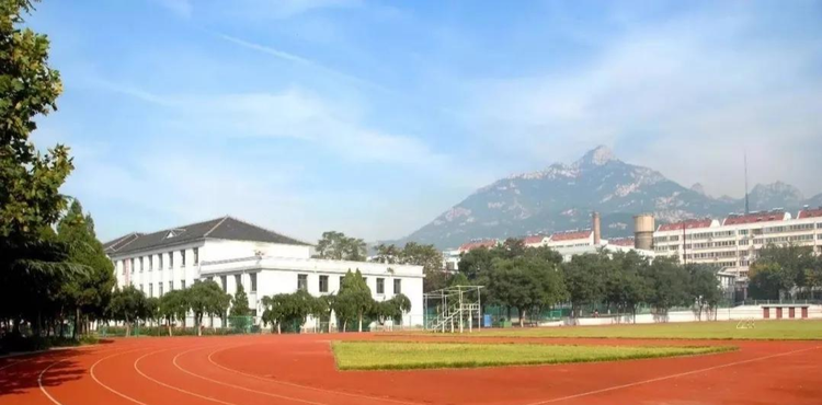 泰山外国语学校