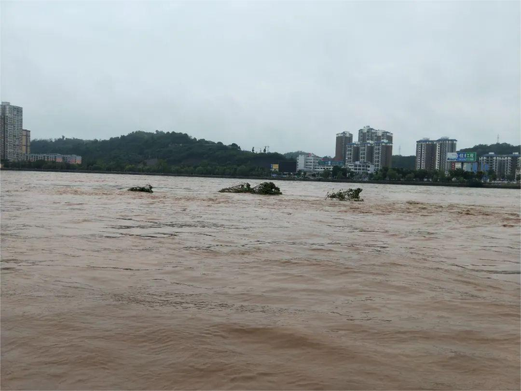 简阳市