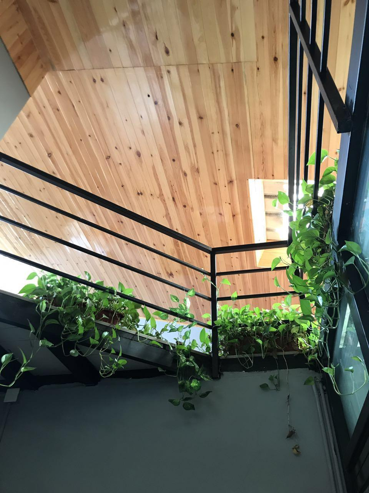 北京坚果兄弟国际文化传媒有限公司