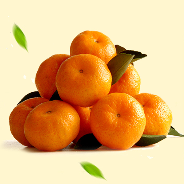 橘