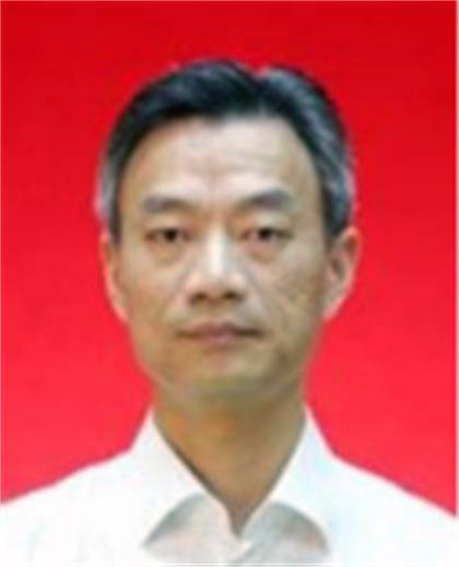 陈伟忠[第二军医大学附属长征医院主任医师]