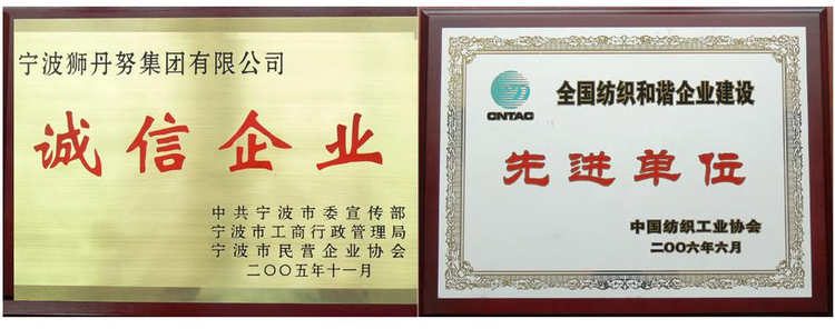 宁波狮丹努集团