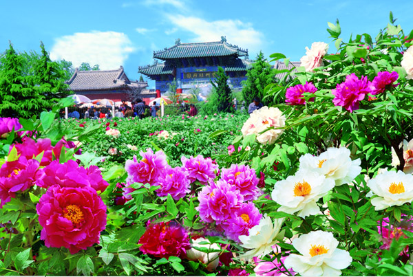 菏泽市