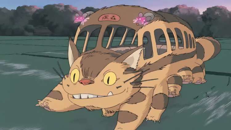 龙猫