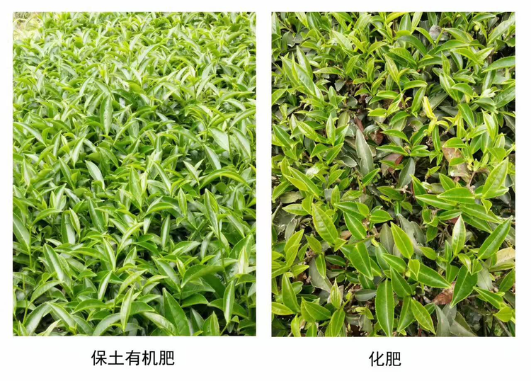 贵州保土生态循环农业科技有限公司