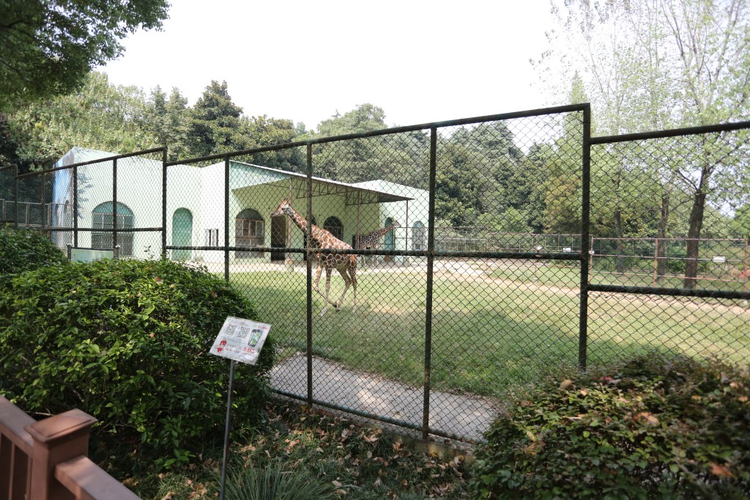 红山森林动物园