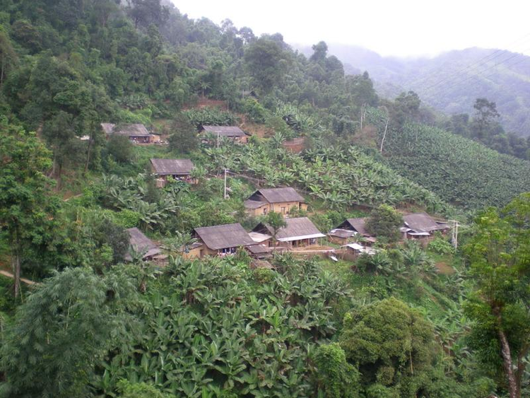 河口瑶族自治县