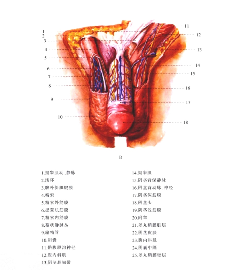 截屏2023-10-17 12.40.png