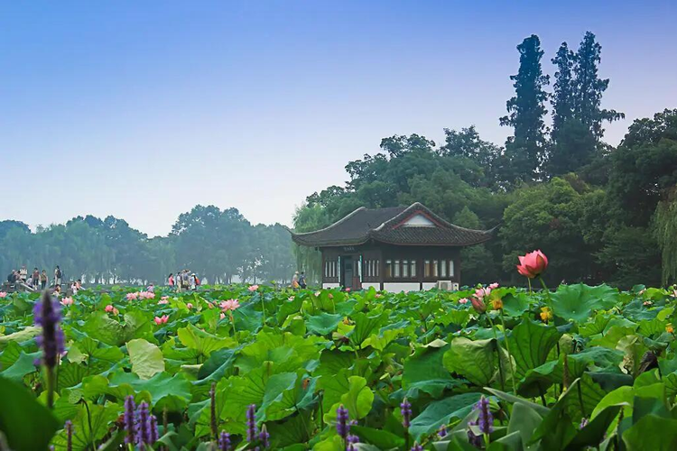 西湖